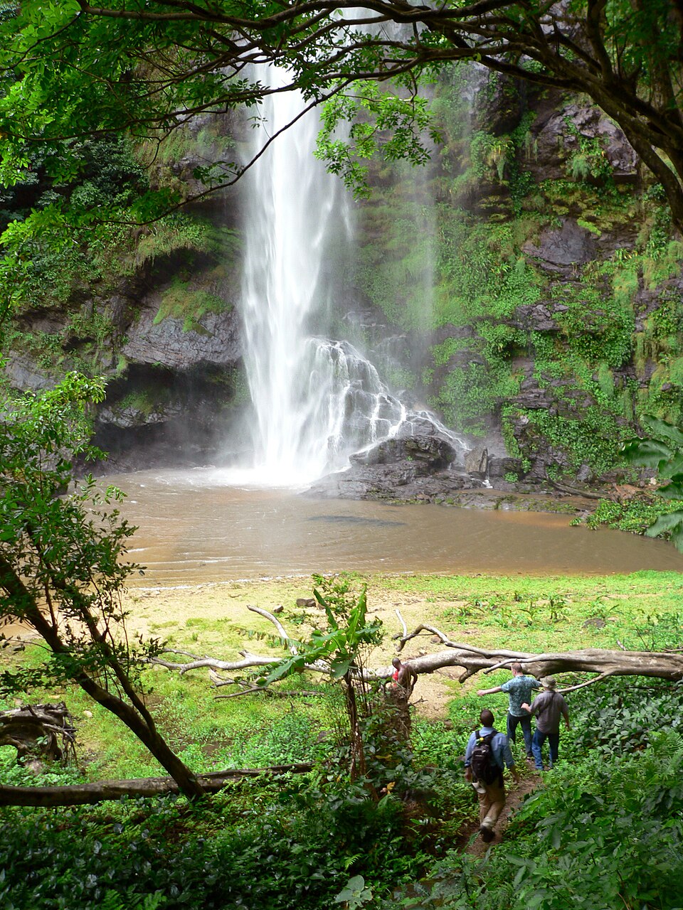 Hikers approaching the base of Wli Falls, Ghana's tallest waterfall, through the Agumatsa forest